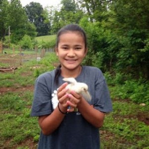 Photo May 25 catching chickens 2