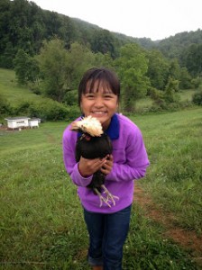 Photo May 25 catching chickens Apuii