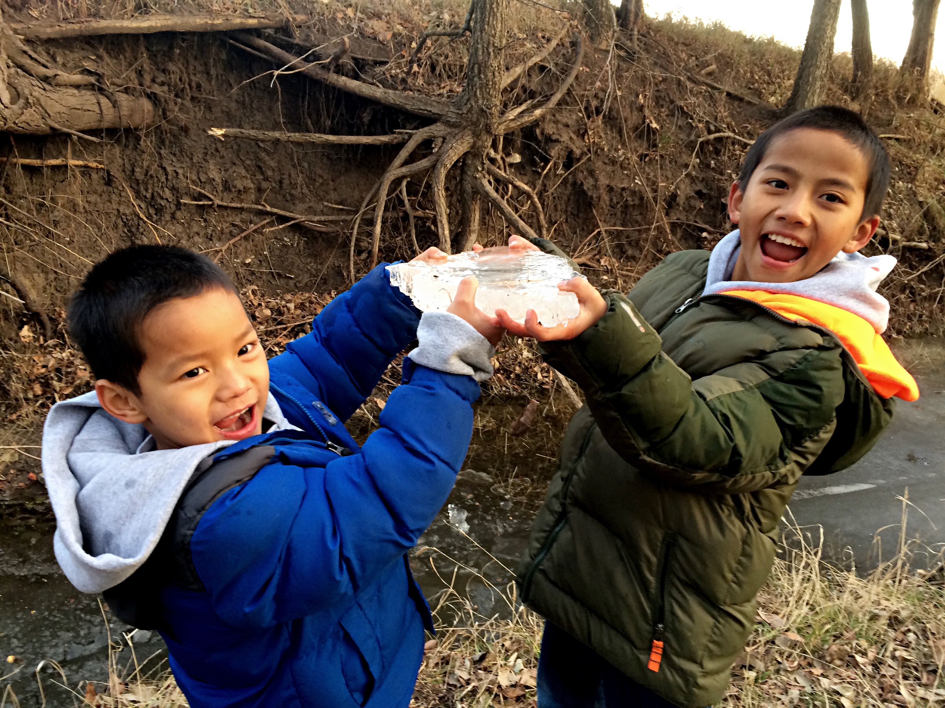 after-exploring-the-woods-we-came-across-some-ice-and-naturally-had-to-break-it-up-first-ice-of-the-year_31215964010_o